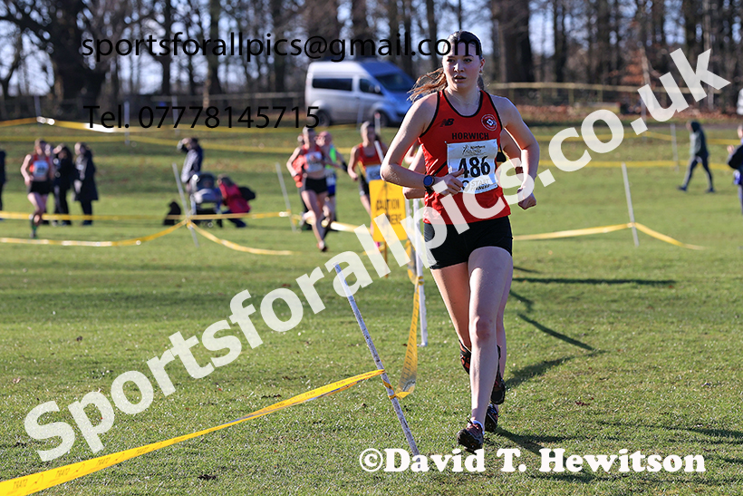 Junior Womens 2025 Northern Cross Country Champs, Tatton Park, Knutsford, Cheshire. Photo: David T. Hewitson/Sports for All Pics